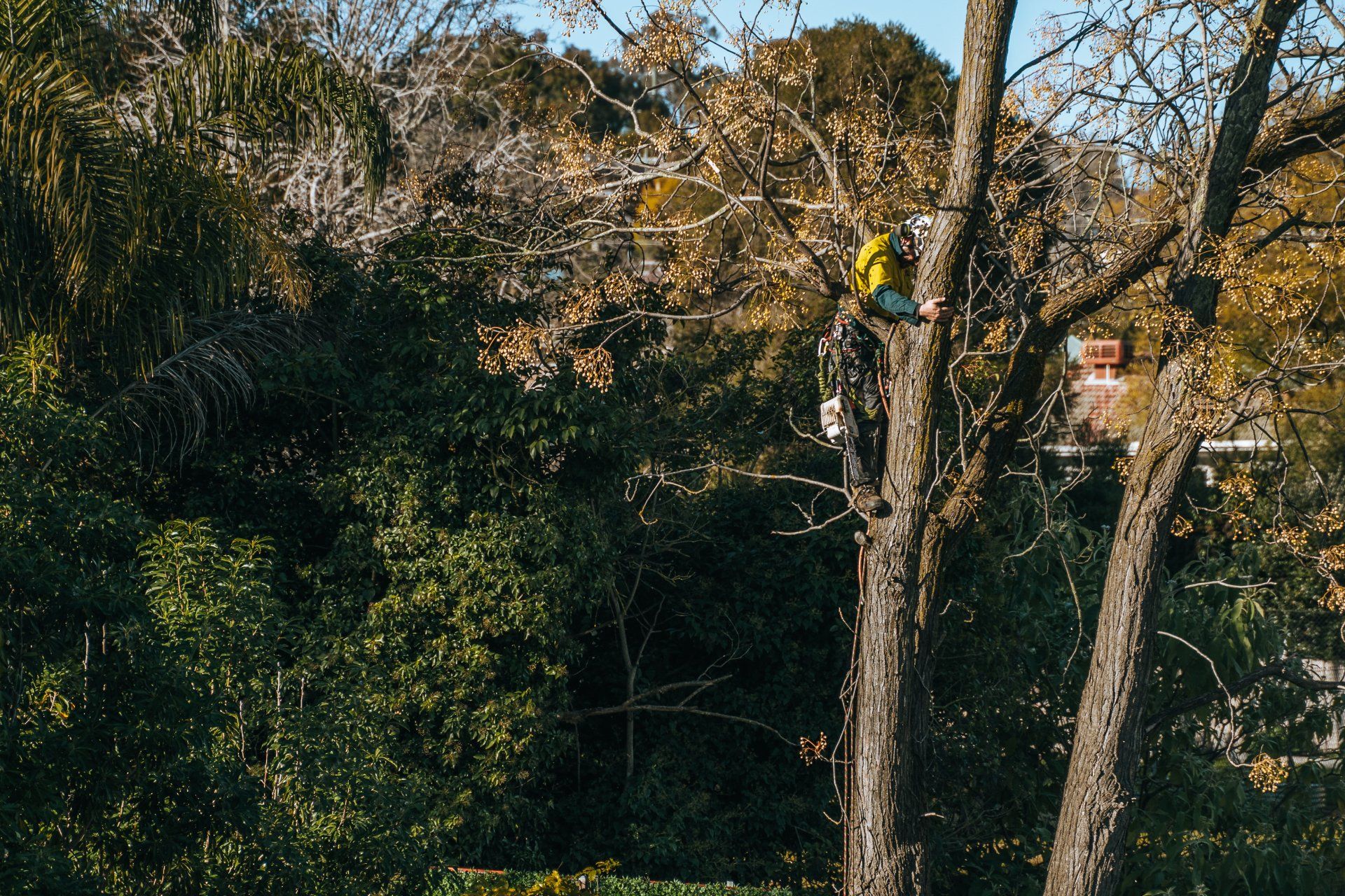 Section removal in progress
