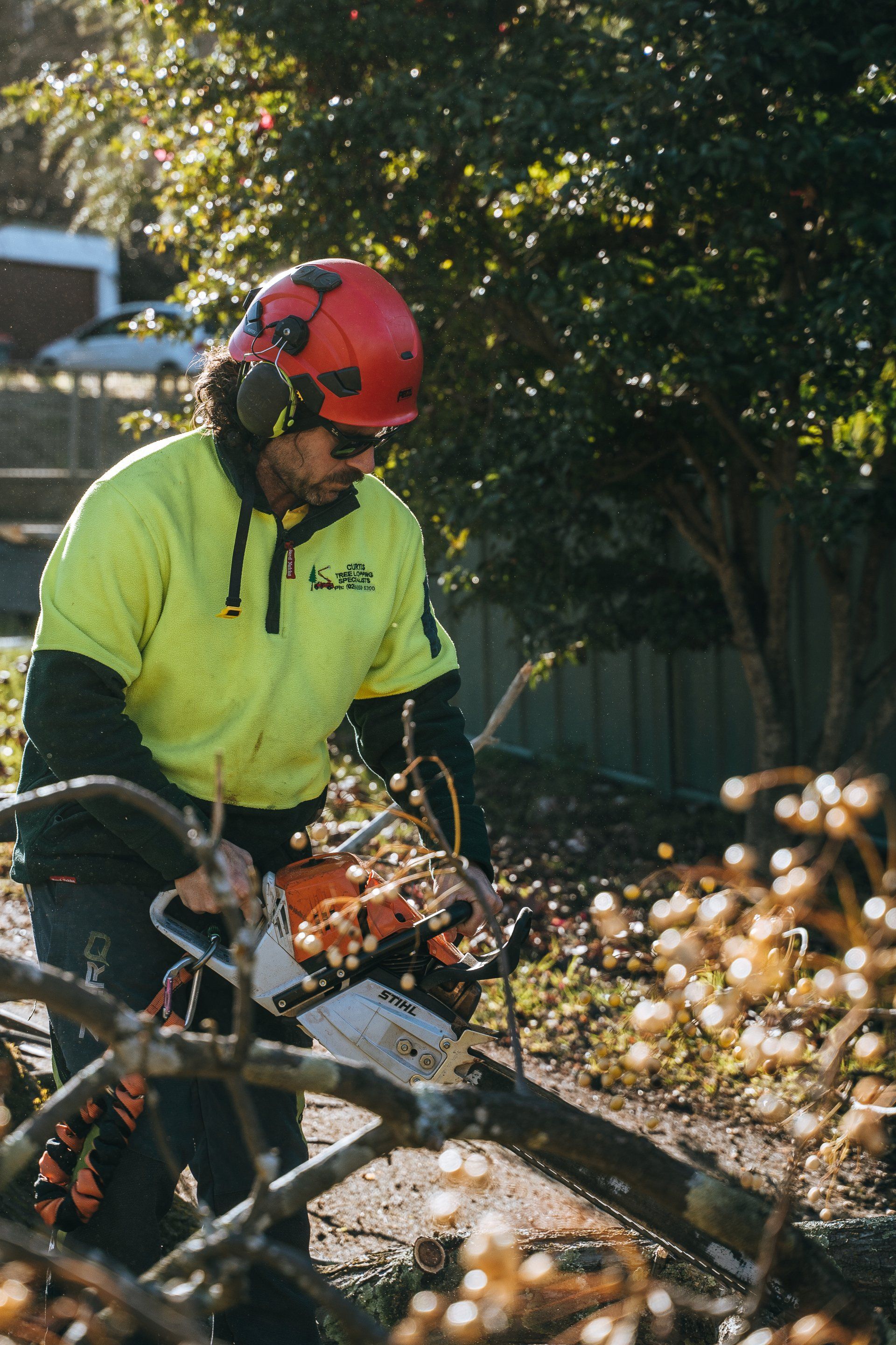 Precision branch removal